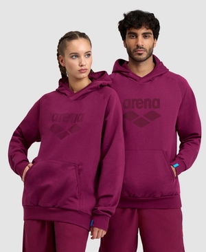 Bordeaux Sweatshirt Arena Logo Encapuchonné - HXG-9119932