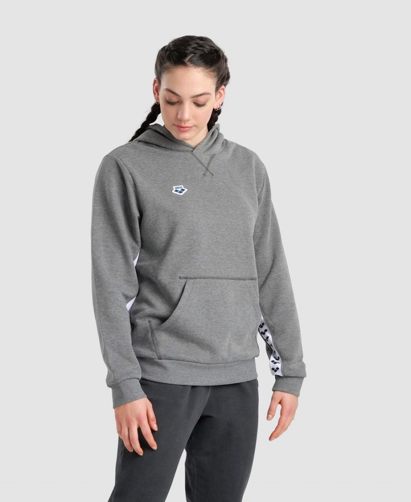 Grise Sweatshirt Arena Icons Solid Encapuchonné - TLG-8409293