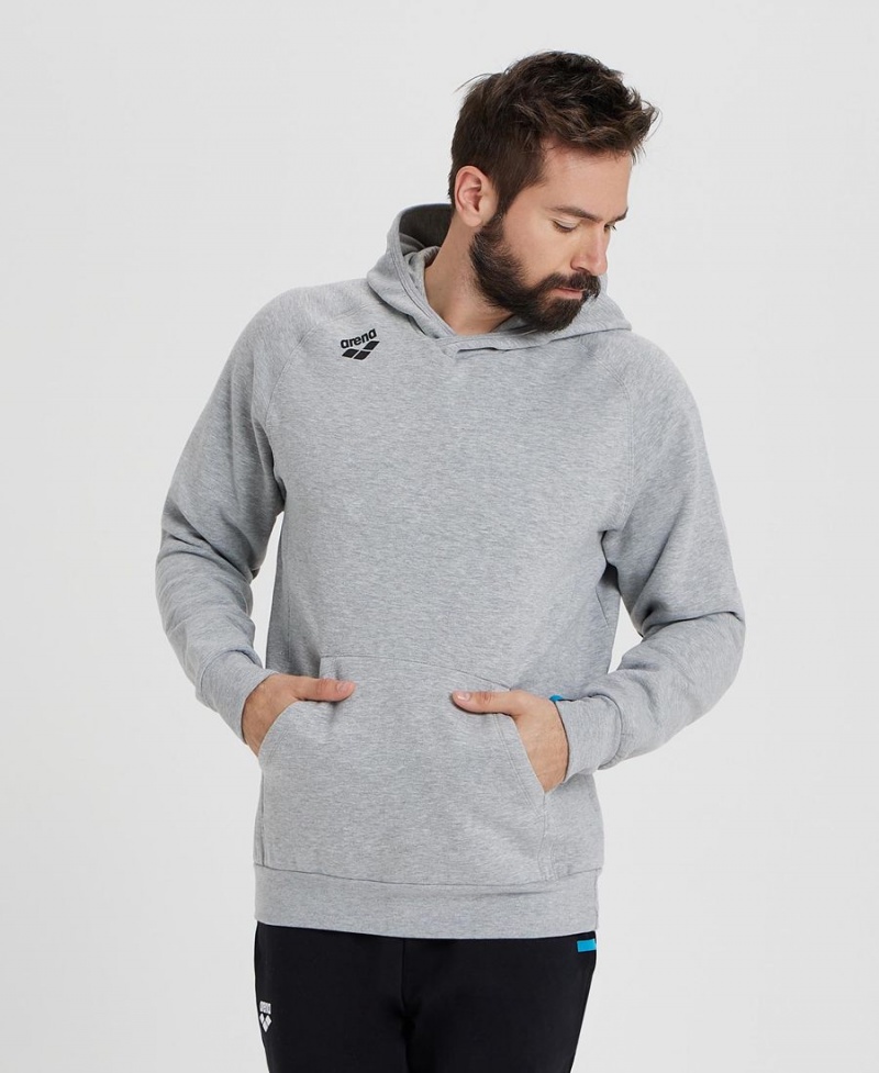 Grise Sweatshirt Arena Team Encapuchonné Panel - TSM-8530105