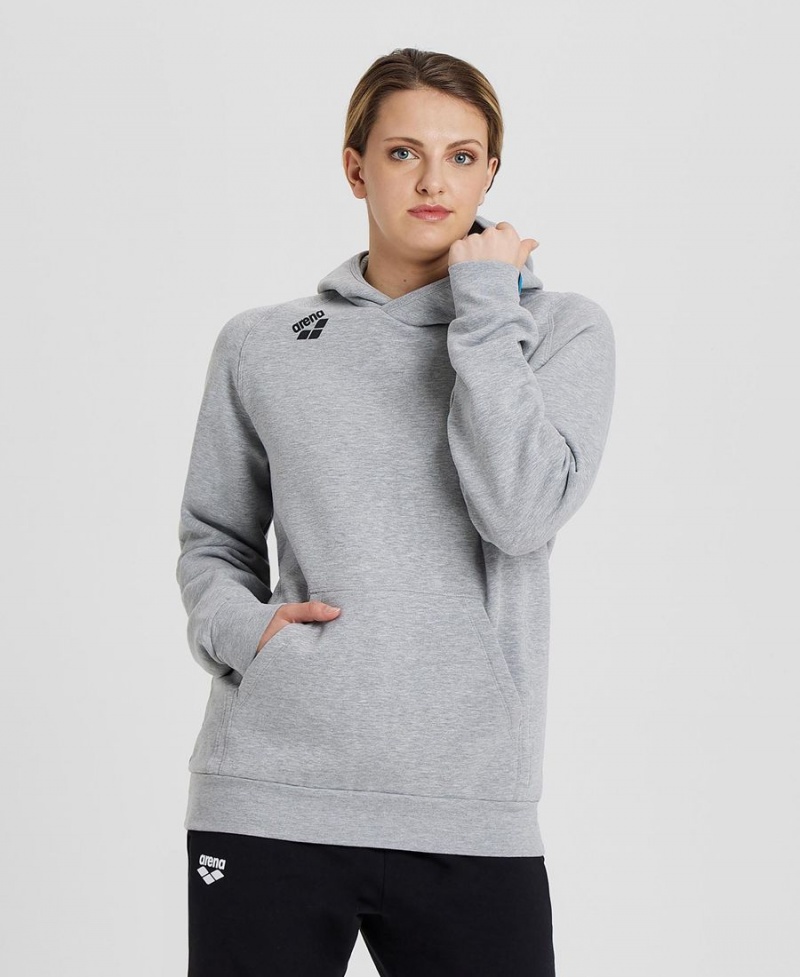 Grise Sweatshirt Arena Team Encapuchonné Panel - TSM-8530105