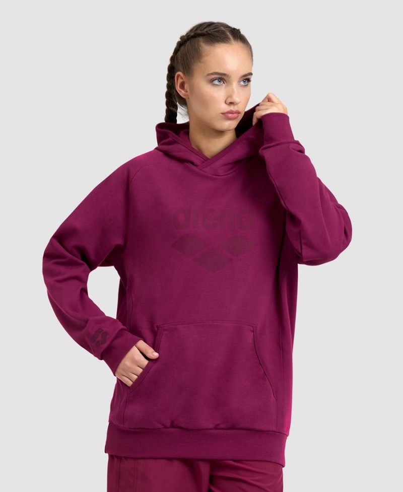 Bordeaux Sweatshirt Arena Logo Encapuchonné - HXG-9119932