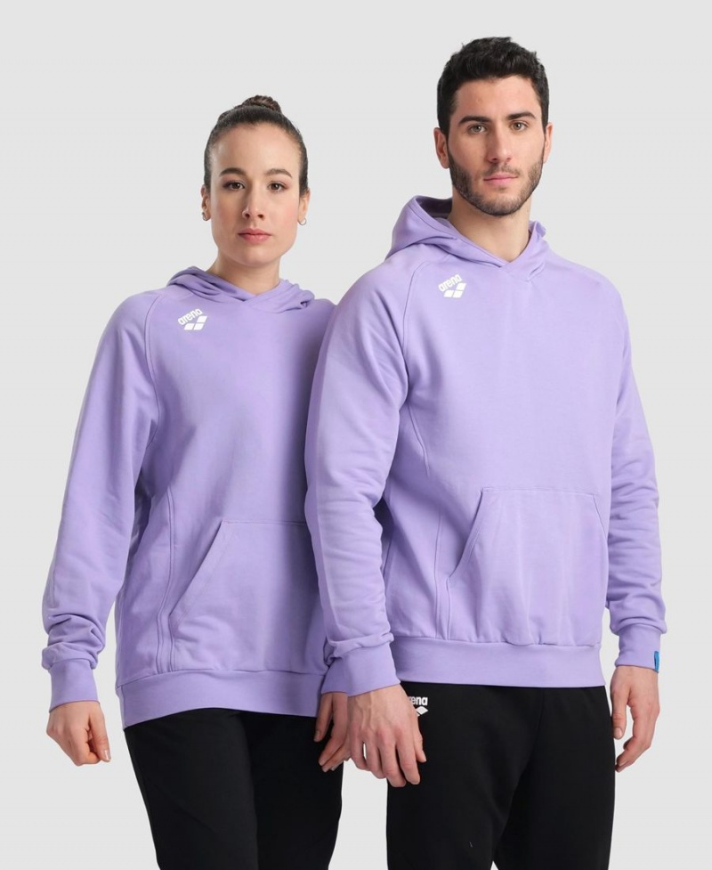 Violette Sweatshirt Arena Team Encapuchonné Panel - DCG-4740293