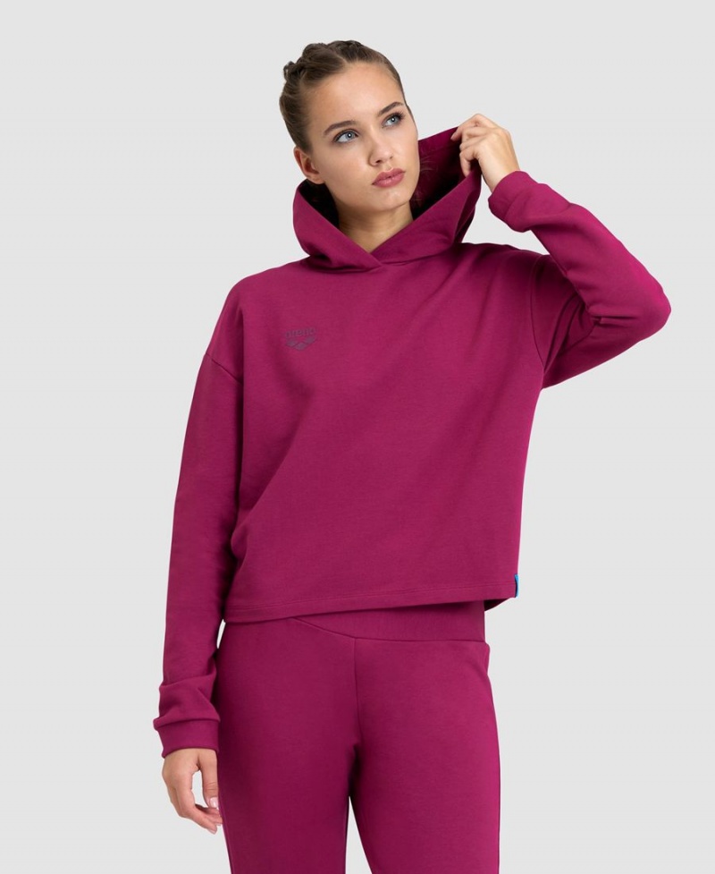 Rouge Sweatshirt Arena Encapuchonné Fleece - HMB-2599884