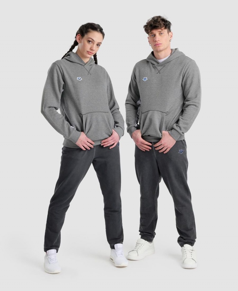 Grise Sweatshirt Arena Icons Solid Encapuchonné - TLG-8409293