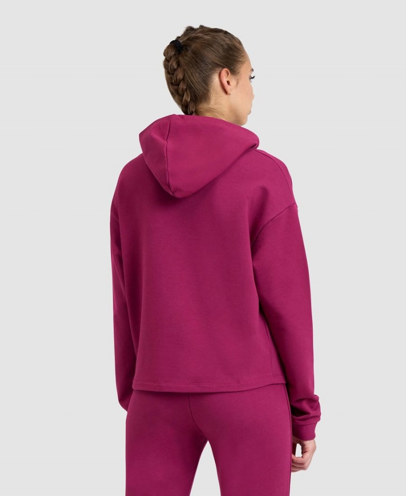 Rouge Sweatshirt Arena Encapuchonné Fleece - HMB-2599884