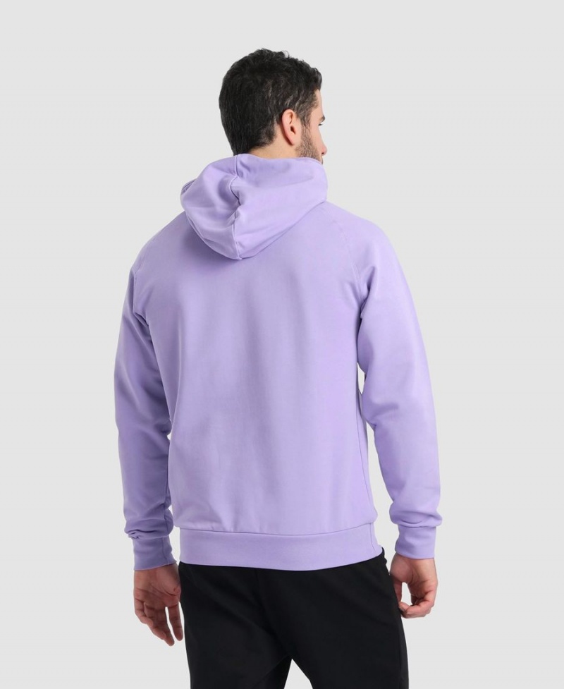 Violette Sweatshirt Arena Team Encapuchonné Panel - DCG-4740293