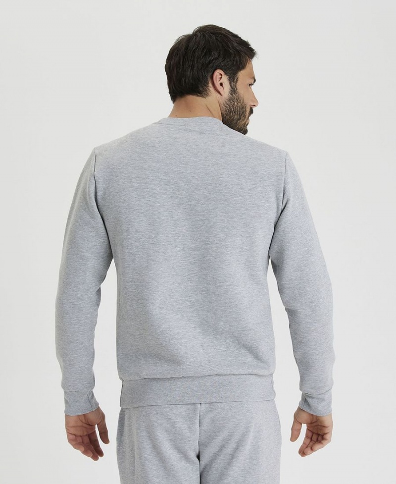 Grise Sweatshirt Arena Solid Crewneck - JSY-4784629