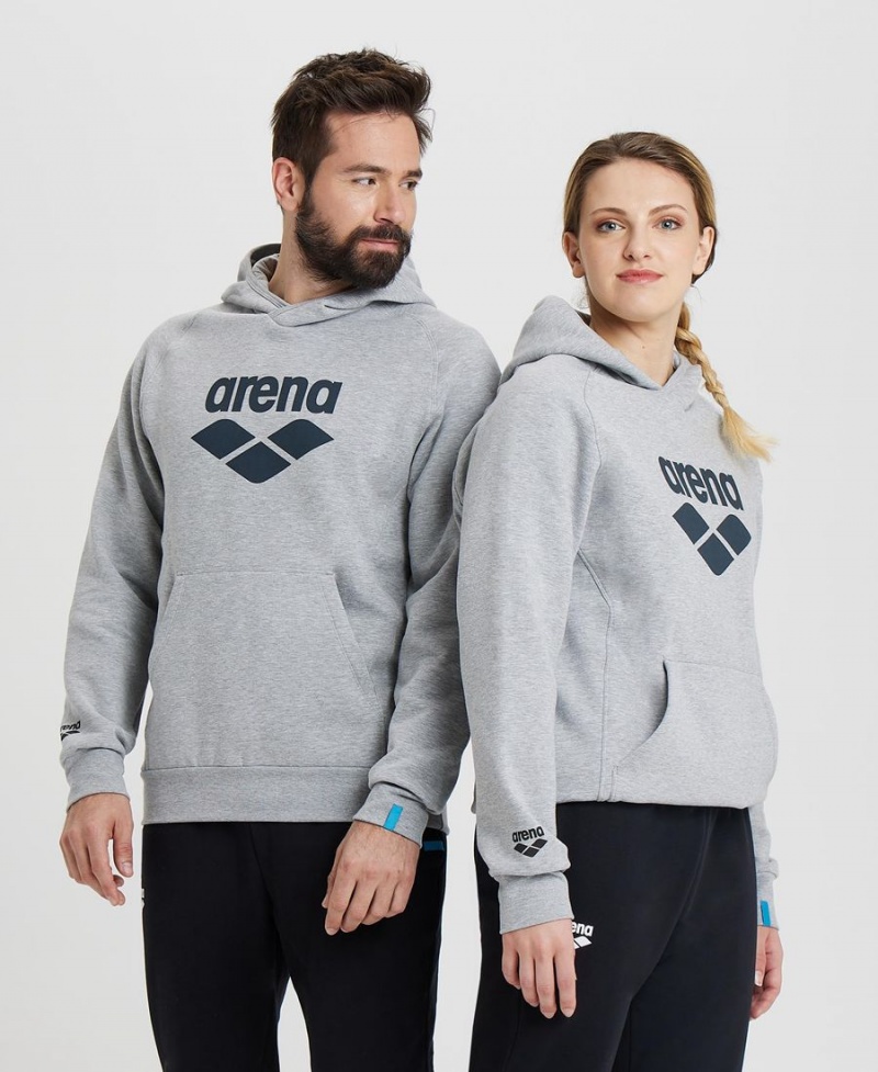 Grise Sweatshirt Arena Logo Encapuchonné - OVV-0189381