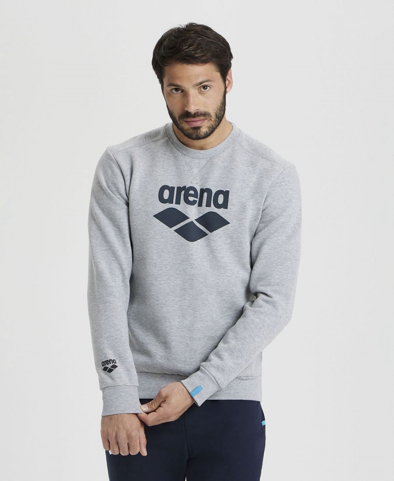 Grise Sweatshirt Arena Logo Crewneck - AZI-4546990