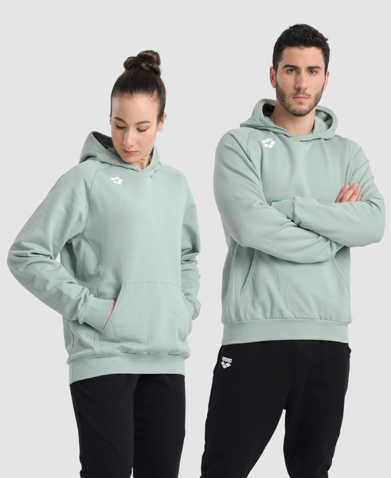 Vert Sweatshirt Arena Team Encapuchonné Panel - LXZ-8869914