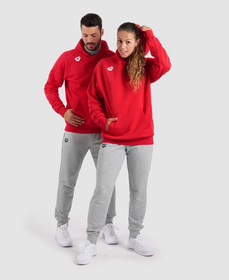 Rouge Sweatshirt Arena Team Encapuchonné Panel - ZKS-3790671