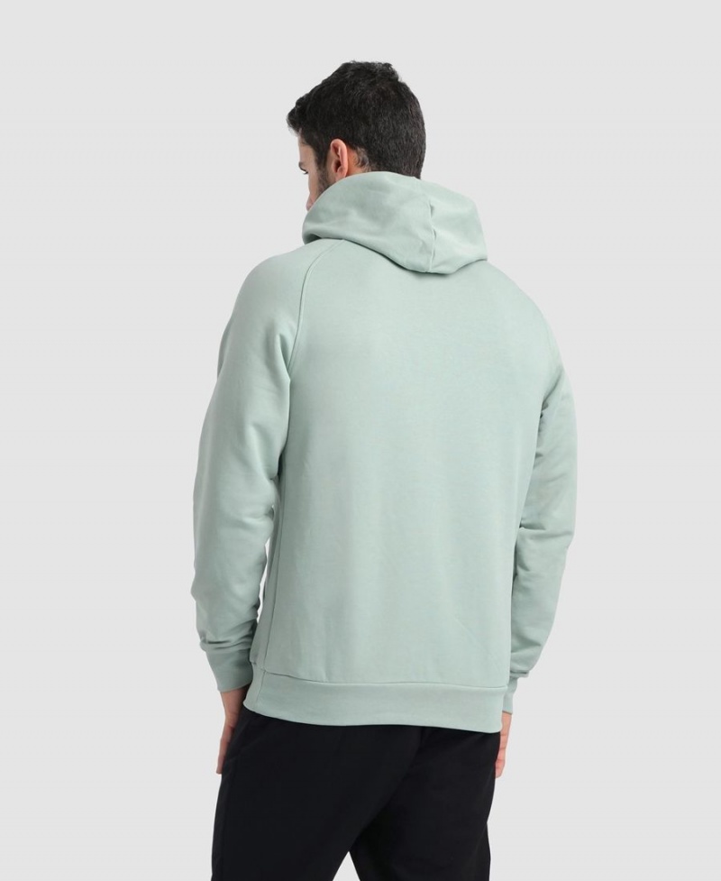 Vert Sweatshirt Arena Team Encapuchonné Panel - LXZ-8869914