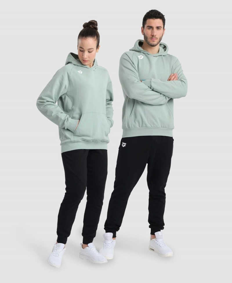 Vert Sweatshirt Arena Team Encapuchonné Panel - LXZ-8869914