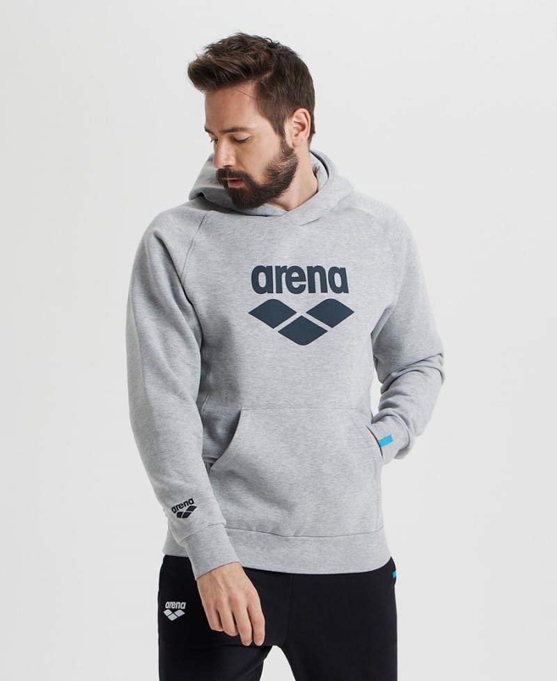 Grise Sweatshirt Arena Logo Encapuchonné - NYT-7854287