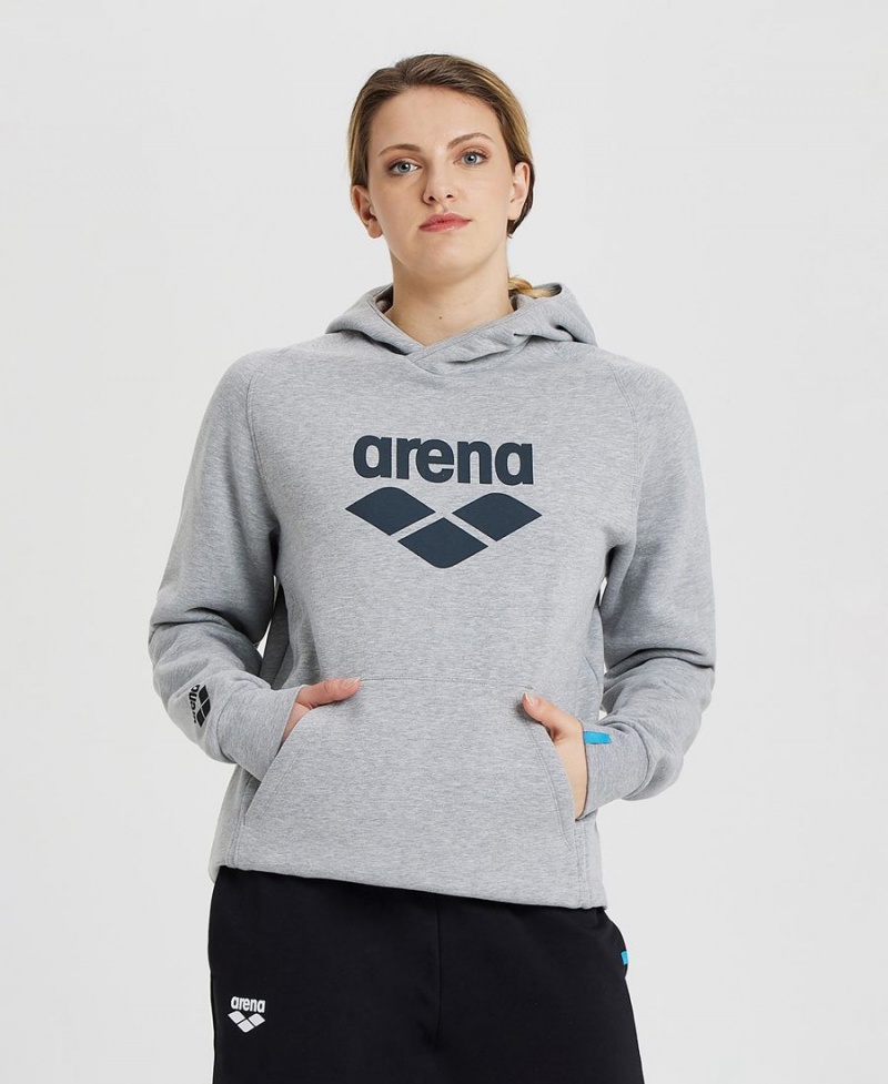 Grise Sweatshirt Arena Logo Encapuchonné - NYT-7854287