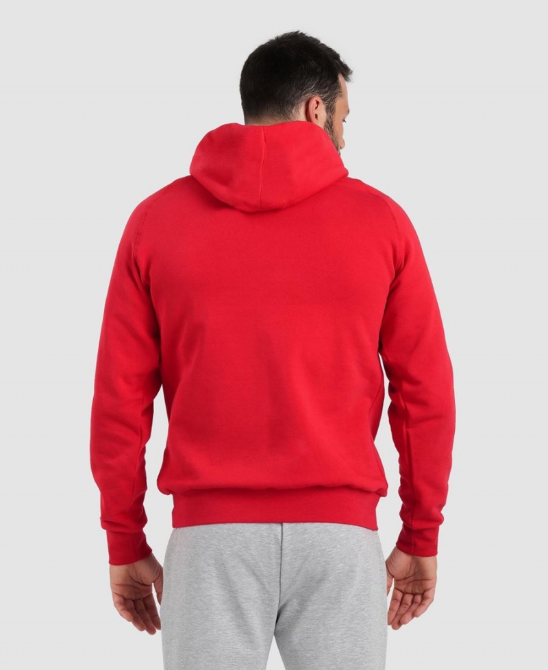 Rouge Sweatshirt Arena Team Encapuchonné Panel - IDU-9904754