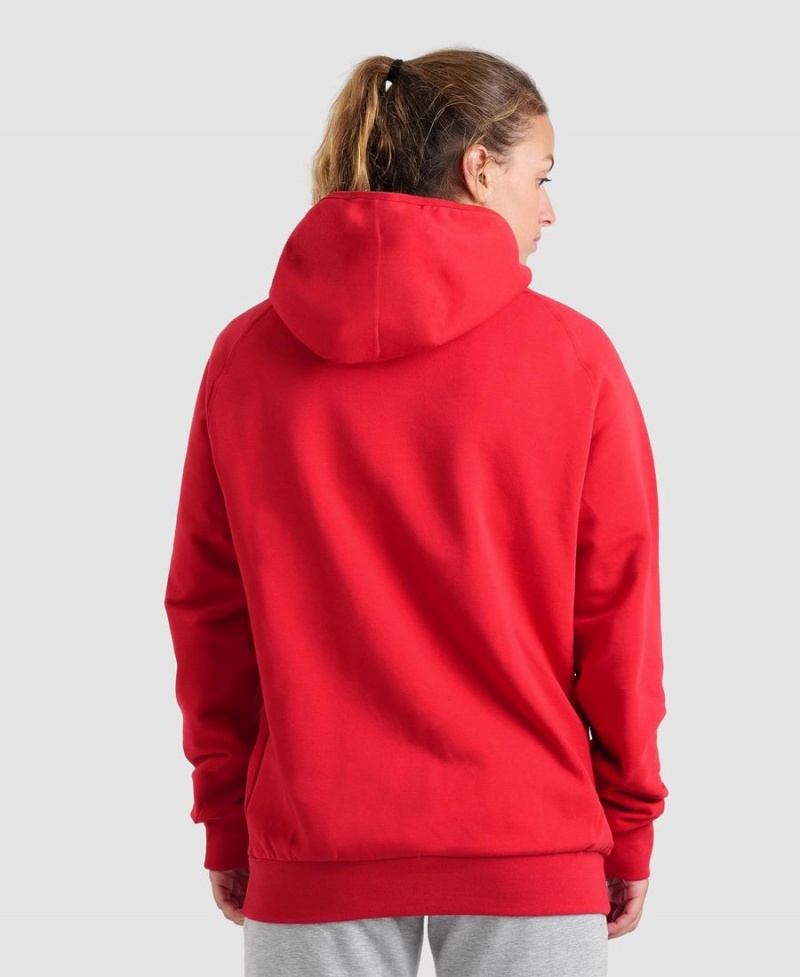 Rouge Sweatshirt Arena Team Encapuchonné Panel - IDU-9904754