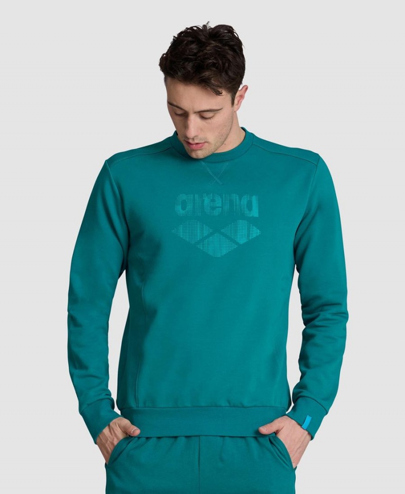 Vert Sweatshirt Arena Logo Crewneck - JCQ-0387966