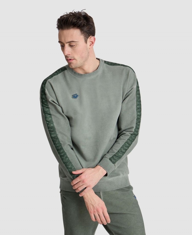 Vert Sweatshirt Arena Icons Oversize - WYR-4354962