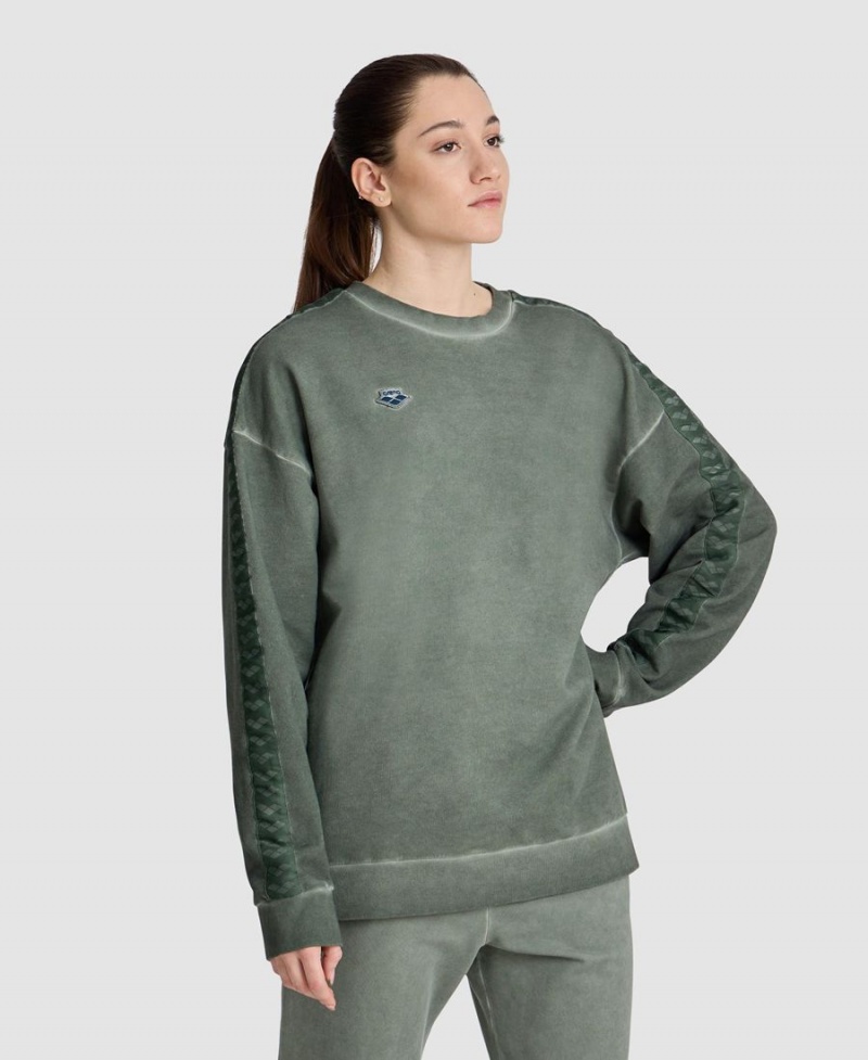 Vert Sweatshirt Arena Icons Oversize - WYR-4354962