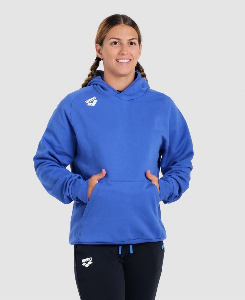 Bleu Sweatshirt Arena Team Encapuchonné Panel - PTU-8410656