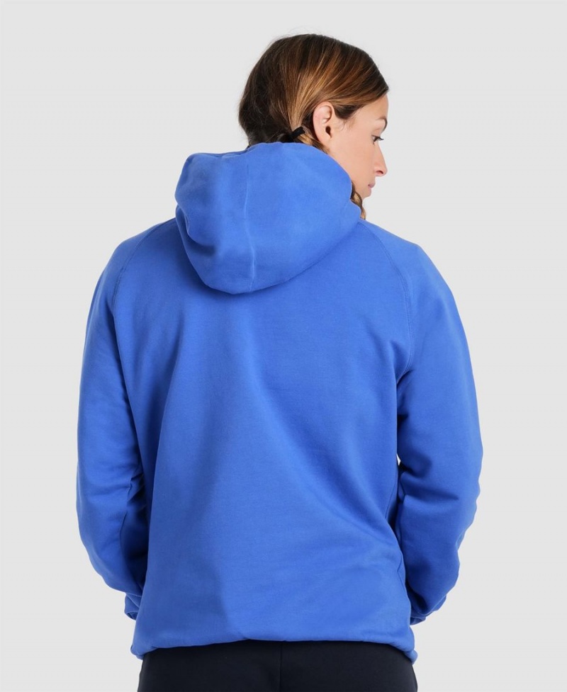 Bleu Sweatshirt Arena Team Encapuchonné Panel - PTU-8410656