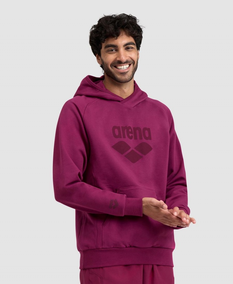 Bordeaux Sweatshirt Arena Logo Encapuchonné - UBV-3752858