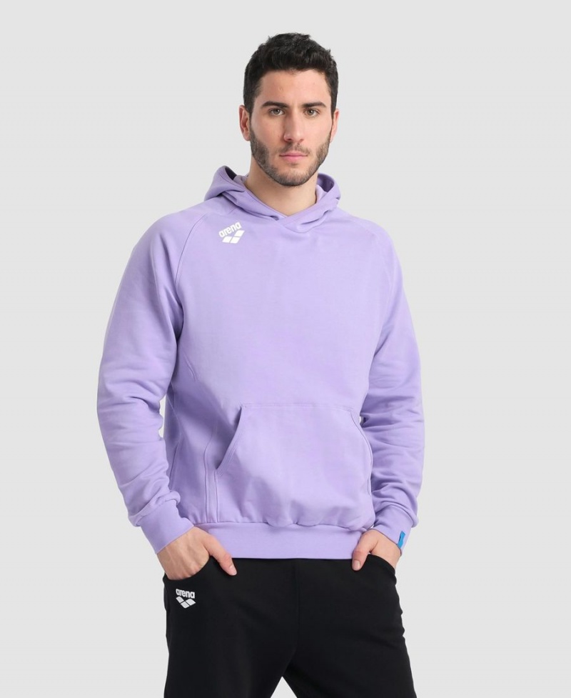 Violette Sweatshirt Arena Team Encapuchonné Panel - RIJ-4218087