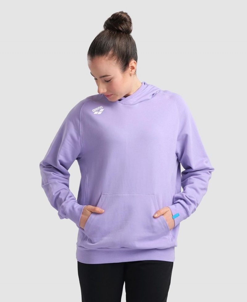 Violette Sweatshirt Arena Team Encapuchonné Panel - RIJ-4218087