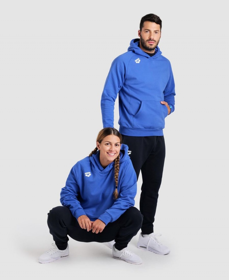 Bleu Sweatshirt Arena Team Encapuchonné Panel - PTU-8410656