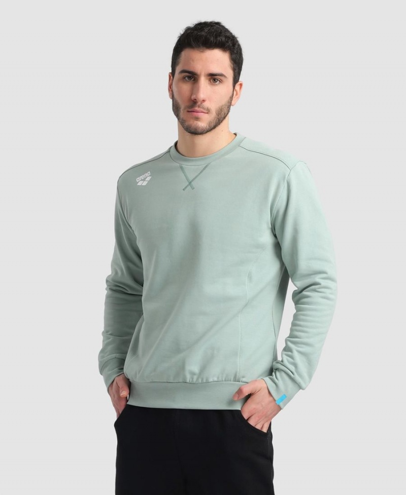 Vert Sweatshirt Arena Solid Crewneck - TRD-2485060