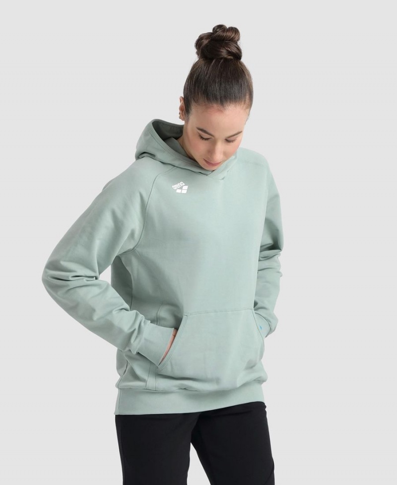 Vert Sweatshirt Arena Team Encapuchonné Panel - WPL-6986101