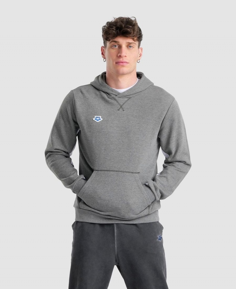 Grise Sweatshirt Arena Icons Solid Encapuchonné - LCA-3961993