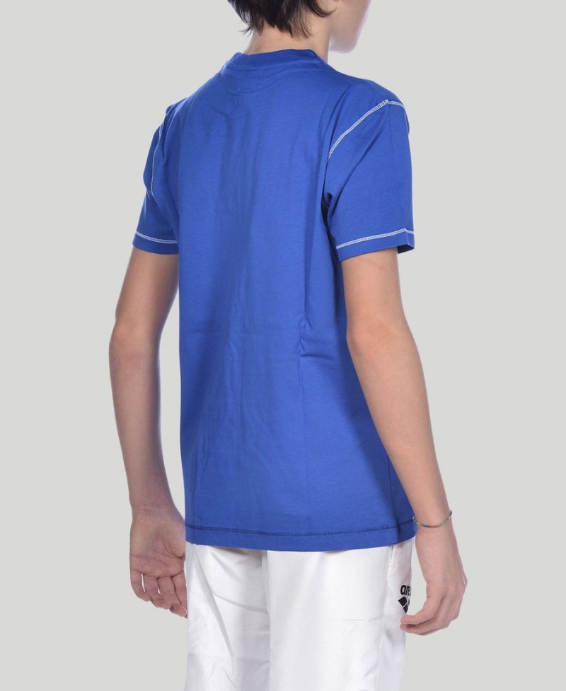 Bleu T-Shirt Arena Youth Team Line Corta Sleeve - BPT-2023917