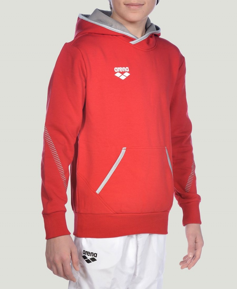 Rouge Sweat a Capuche Arena Youth Team Line Long Sleeve - DBD-7148082