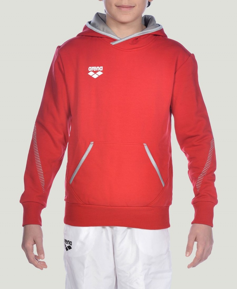 Rouge Sweat a Capuche Arena Youth Team Line Long Sleeve - DBD-7148082