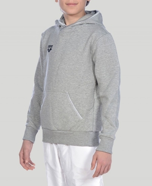 Grise Sweat a Capuche Arena Youth Team Line Long Sleeve - QDF-4237809