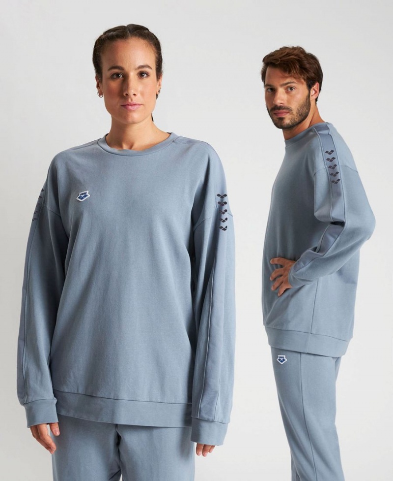 Grise Sweatshirt Arena Oversized Team - DVB-0361826